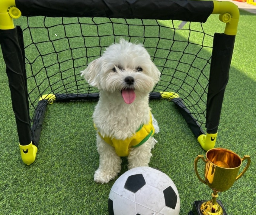 [No.771720] 상세정보를 보시려면 클릭하세요.